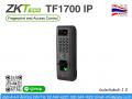 TF1700 IP